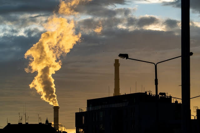 Fondo transizione ecologica - Foto di Piotr Twardowski da Pexels