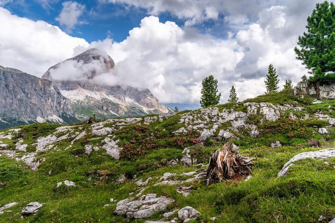 Interreg Alcotra - photo credit Chavdar Lungov, via Pexels