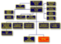 Organigramma - Immagine di Dmcdevit