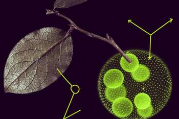 MSCA Postdoctoral Fellowships - Photo credit: © European Union