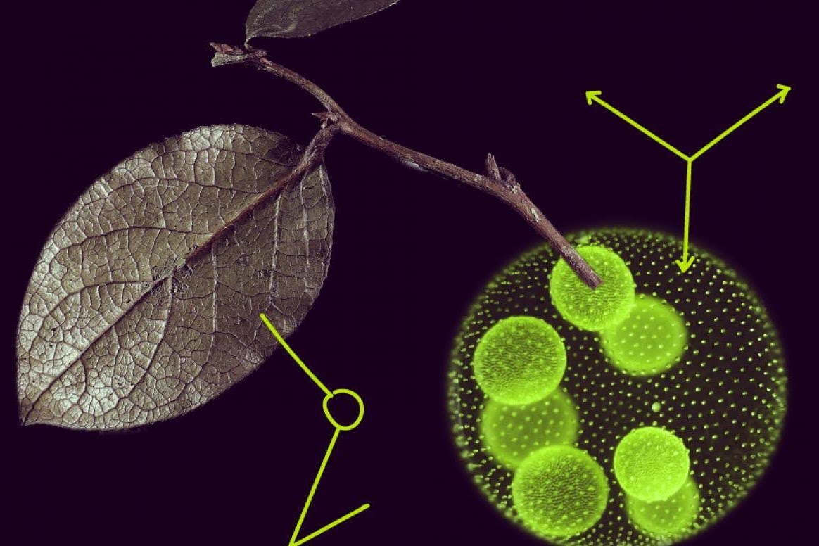 MSCA Postdoctoral Fellowships - Photo credit: © European Union