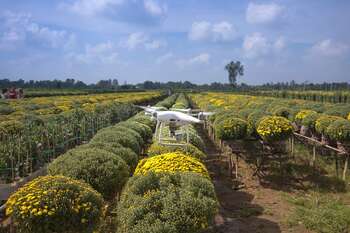 Agricoltura - Photo credit: Quang Nguyen Vinh