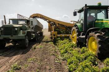 Agricoltura - Photo credit: Mark Stebnicki 