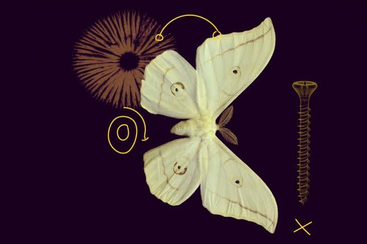 Call Marie-Curie MSCA COFUND - Photo: MSCA COFUND - European Commission