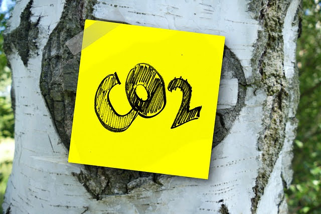 CO2 - Foto di Gerd Altmann da Pixabay