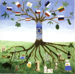 Albero - European commission credit