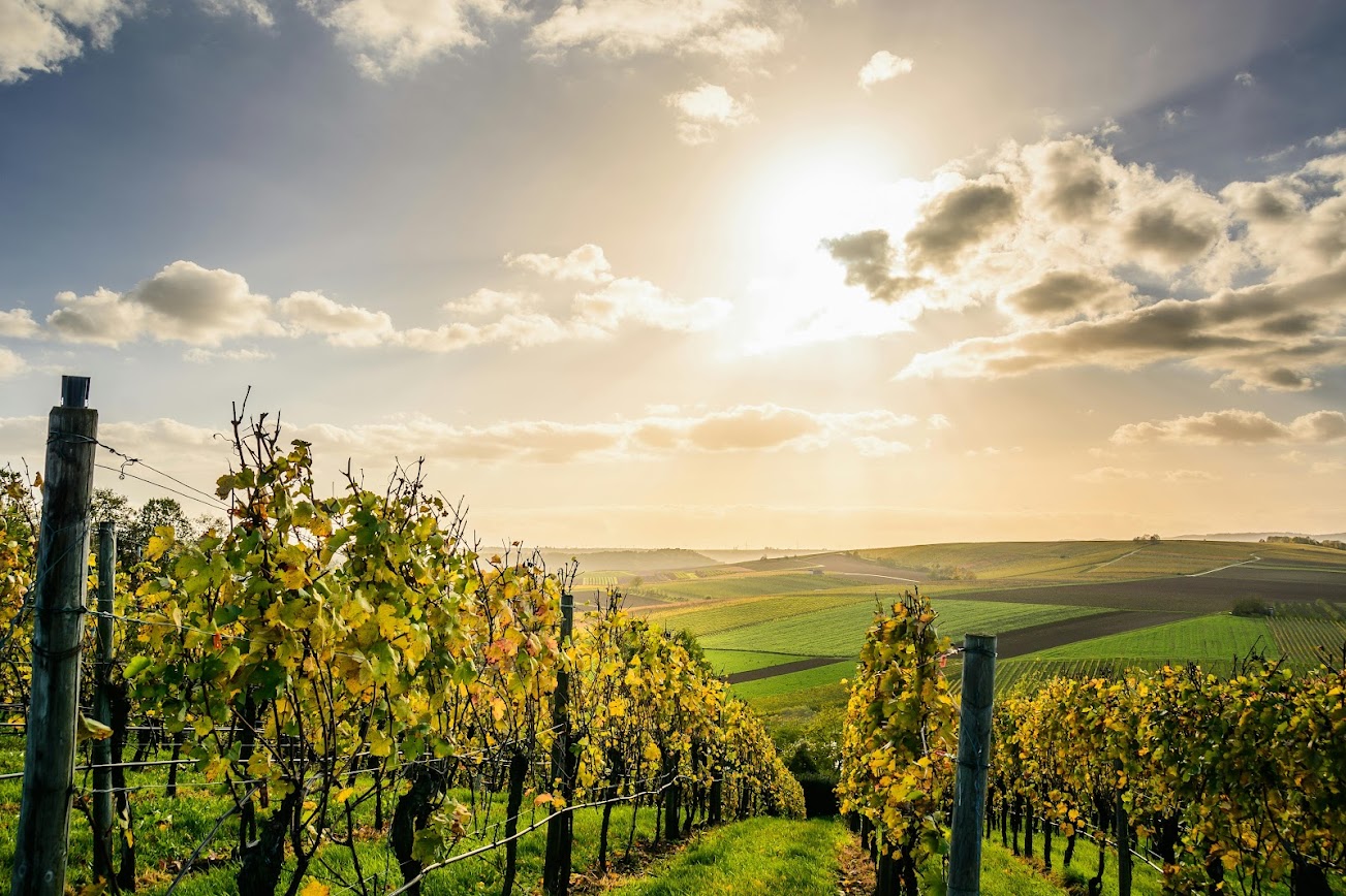 Agricoltura - Foto di David da Pexels