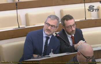 Luca Bianchi (SVIMEZ) - Credit: Senato TV