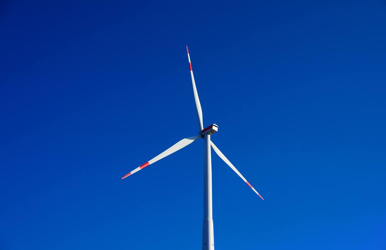 Foto di Markus Distelrath da Pixabay