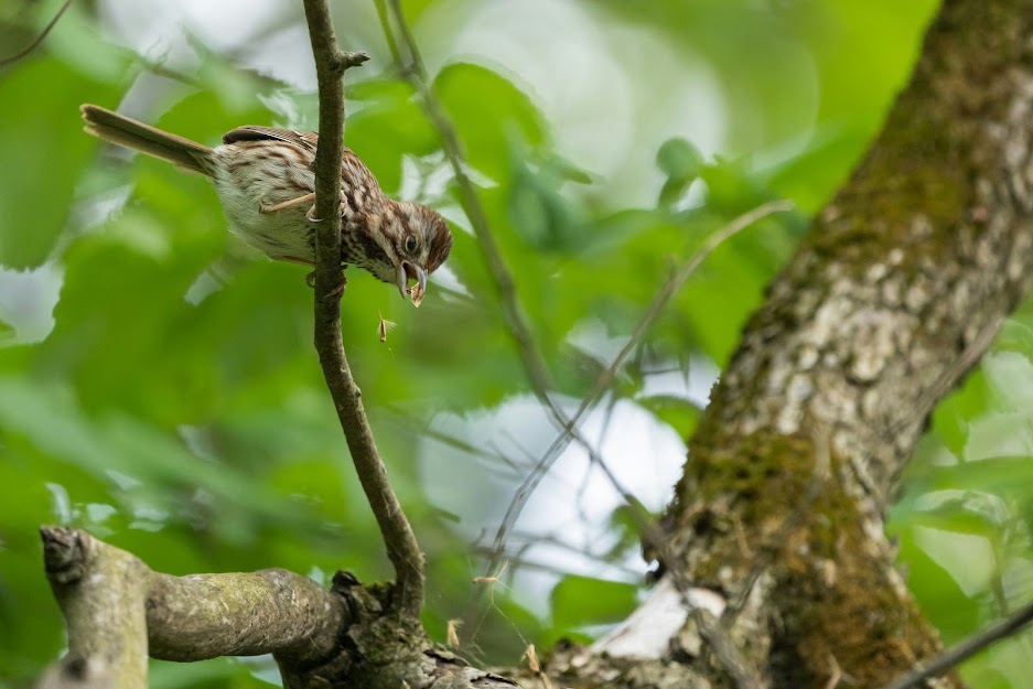 Foto di Christopher Paterson da Unsplash