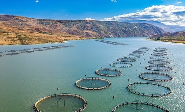 Acquacoltura - Photo credit: Foto di Yunuscan Zeybek da Pixabay Acquacoltura - Photo credit: Foto di Yunuscan Zeybek da Pixabay