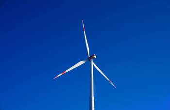 Foto di Markus Distelrath da Pixabay