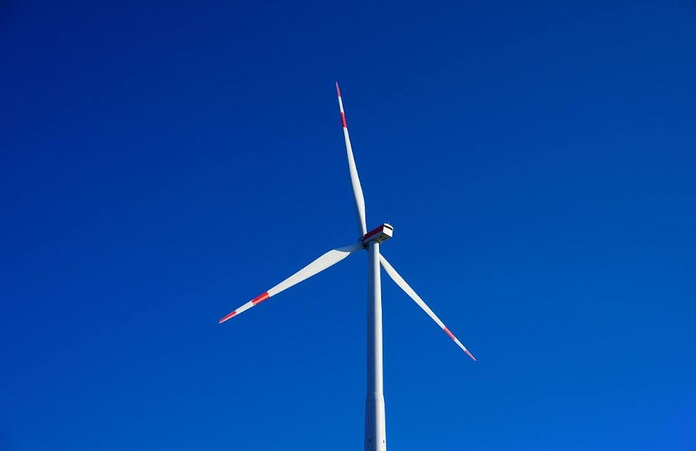 Foto di Markus Distelrath da Pixabay Foto di Markus Distelrath da Pixabay