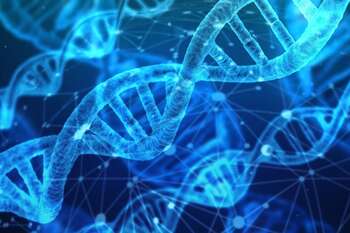 Foto di Gerd Altmann da Pixabay