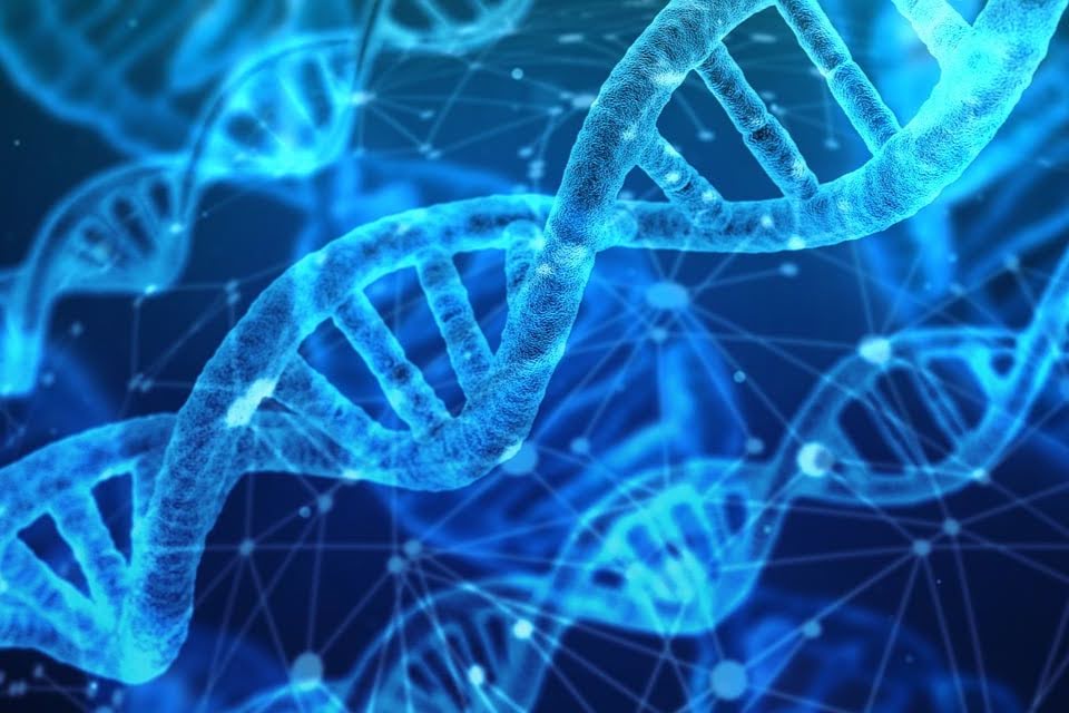 Foto di Gerd Altmann da Pixabay