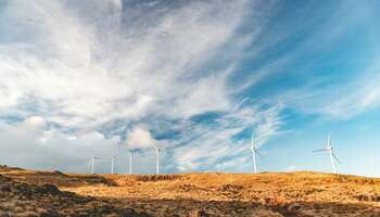 Foto di tanner moran da Unsplash