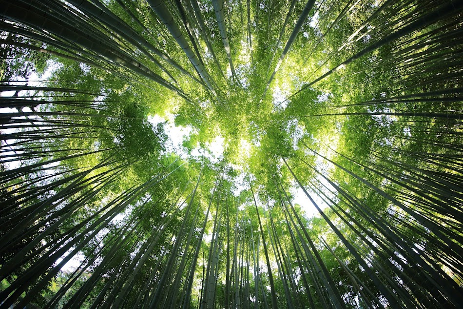 Foto di kazuend da Unsplash