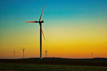 Foto di Frank Becker da Pixabay