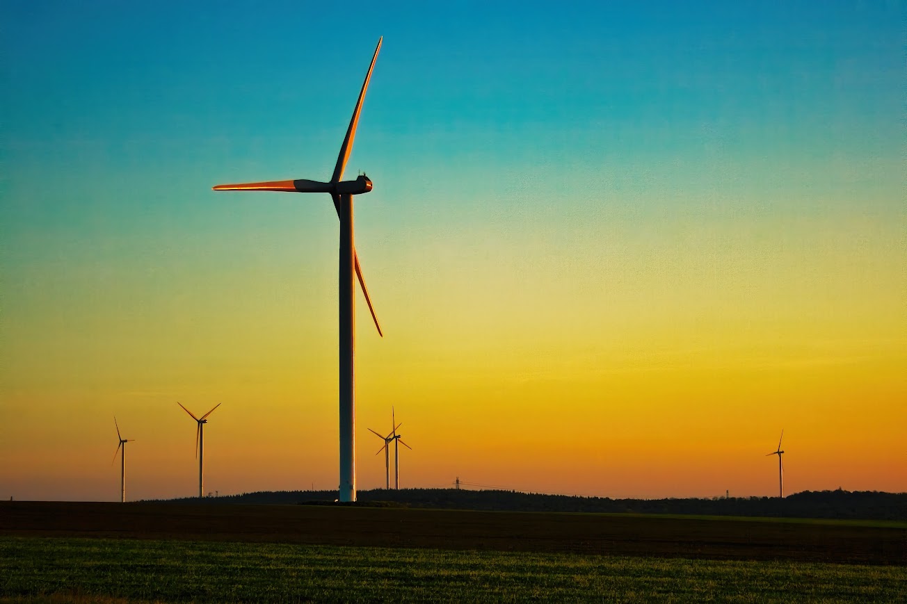 Foto di Frank Becker da Pixabay