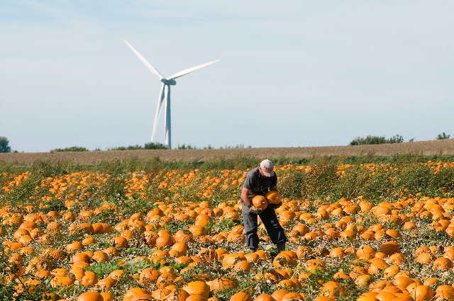 Agricoltura - European commission credit