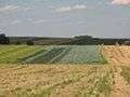 Agricultural landscape - Foto di Mohylek