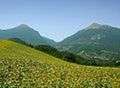 Montagna abruzzese - Foto di Idéfix