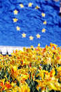 Unione Europea - European commission credit