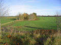 Agricultural Land - Foto di Walter Baxter