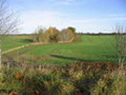 Agricultural Land - Foto di Walter Baxter