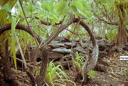 Biodiversity - Foto di CarolinePic-Kepler-Nake