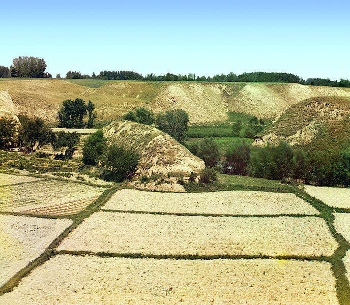 Agricoltura - foto di Gorgo