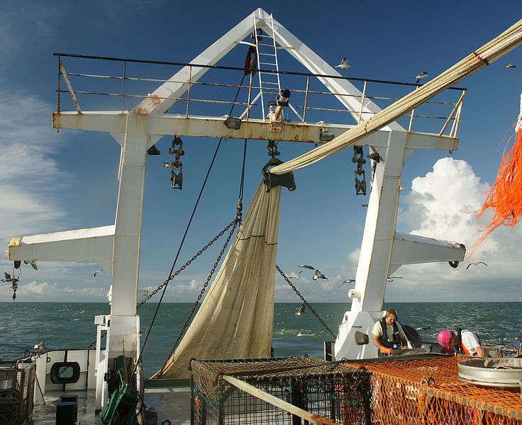 Fishing - foto di Hans Hillewaert