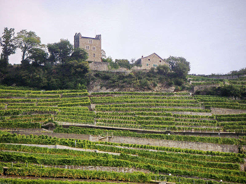 Agricoltura -foto di Perconte 