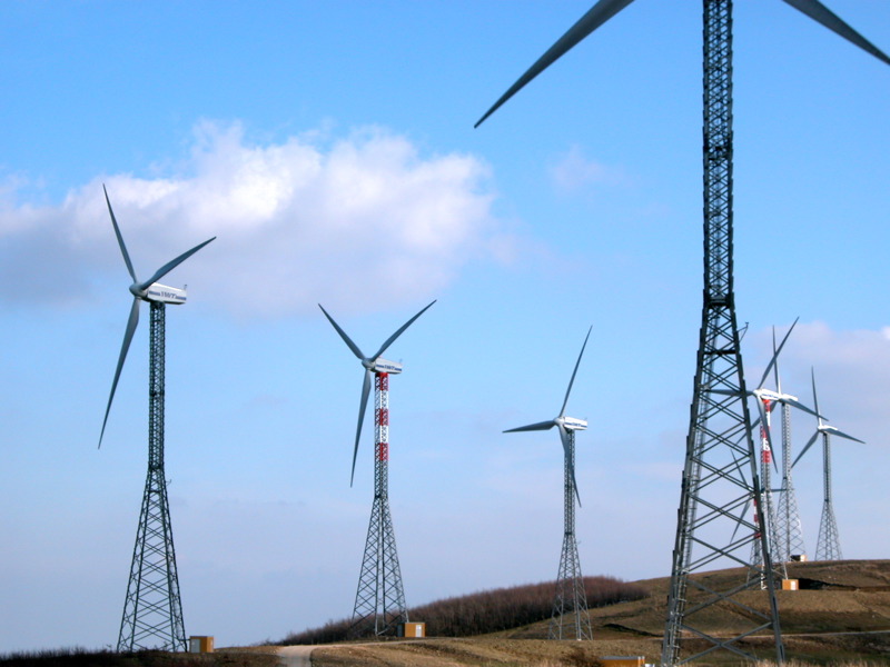 Wind plants - foto di Rocco Lucia