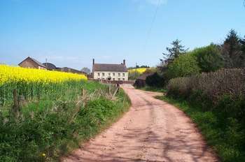 Farmhouse - foto di Barbara Cook