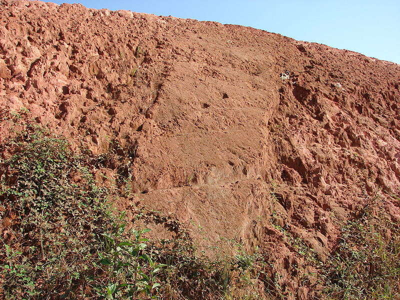 Soil - foto di Eurico Zimbres