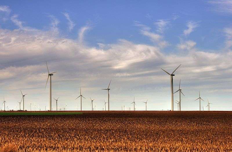 Wind Farm - foto di Drenaline