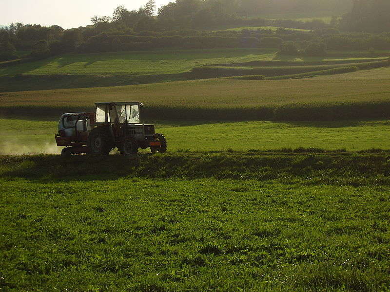 agricoltura - foto di Vermondo