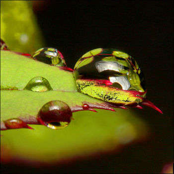 Acqua - foto di ViaMoi