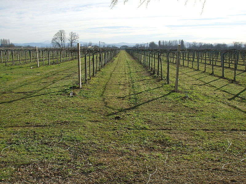 Pianura Padana - foto di Sailko