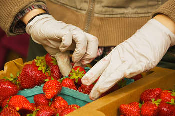 Agricoltura - foto di Ed Yourdon