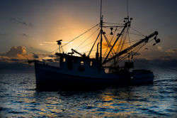 Fishing boat - foto di OneEighteen