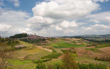 Colline piemontesi - foto di Virginiascarsi