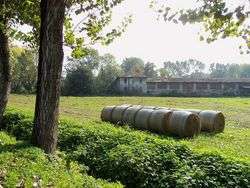 Cascina - foto di Yorick39