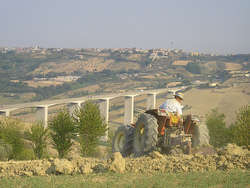 Agriculture - foto di rogilde - roberto la forgia