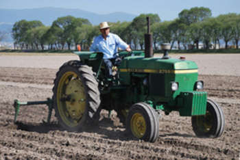 Innovation in food farming - foto di CIMMYT