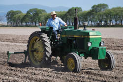 Innovation in food farming - foto di CIMMYT