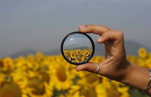 Natura - foto di marcomagrini