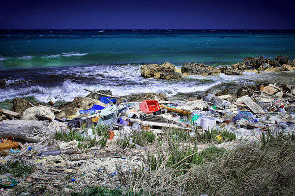 Rifiuti - foto di Paolo Margari 