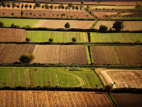 Agricoltura - foto di Hop-Frog